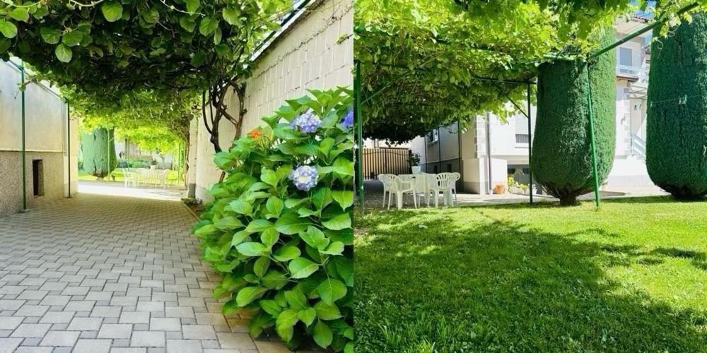 Garden Guesthouse Gjakova 外观 照片