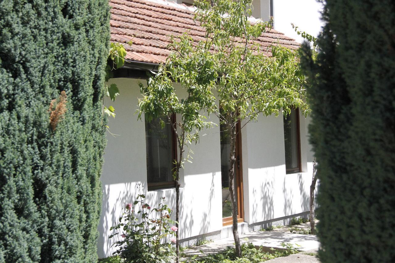 Garden Guesthouse Gjakova 外观 照片